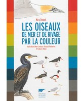 Les oiseaux de mer et de rivage par la couleur