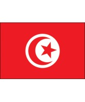 Pavillon Tunisie en étamine de 30x45 cm