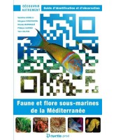 Faune et flore sous-marines de la méditerranée