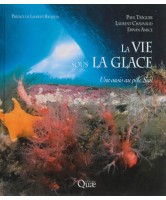 La vie sous la glace : une oasis au pôle Sud 