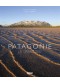 Patagonie : le grand sud