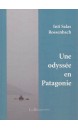 Une odyssée en Patagonie