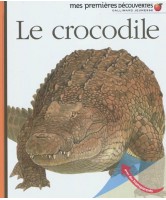 Le crocodile, Mes premières découvertes