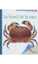 Le bord de la mer, Mes premières découvertes