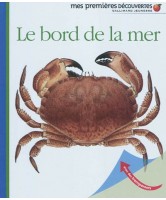 Le bord de la mer, Mes premières découvertes