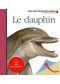 Le dauphin, Mes premières découvertes