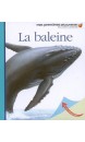 La baleine, Mes premières découvertes