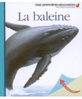 La baleine, Mes premières découvertes