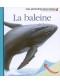 La baleine, Mes premières découvertes