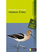 Oiseaux d'eau