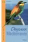 Oiseaux de Méditerranée