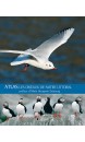 Les oiseaux de notre littoral - Atlas