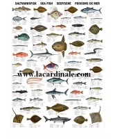 Poster Poissons de Mer - Sea fish 