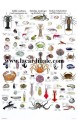 Poster Crustacés et Mollusques Comestibles - Edible Molluscs & Crustaceans 