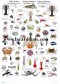 Poster Crustacés et Mollusques Comestibles - Edible Molluscs & Crustaceans 