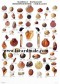 Poster Coquillages - Seashells