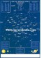 Poster Carte des Etoiles - Map of Bright Stars