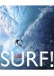 Surf! la quête mystique des chasseurs de vagues