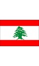 Pavillon Liban en étamine de 30x45 cm