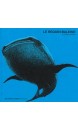 Le requin-baleine 