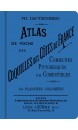 Atlas de poche des coquilles des côtes de France : communes, pittoresques ou comestibles