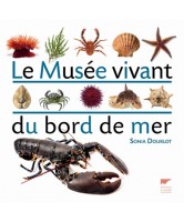 Le musée vivant du bord de mer