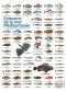 Poster planche de 65 photos poissons de la mer méditerranée