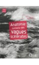 Anatomie curieuse des vagues scélérates