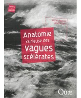 Anatomie curieuse des vagues scélérates