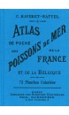 Atlas de poche des poissons de mer de la France et de la Belgique 