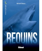 Requins 