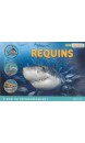 Requins 