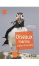 Oiseaux marins : entre ciels et mers 