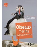 Oiseaux marins : entre ciels et mers 