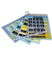 Lights and Shapes Recognition Cards Lights and Shapes Recognition Cards