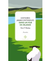 Histoires jamais entendues dans un pub en Irlande