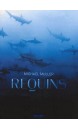 Requins : rencontre avec le prédateur menacé des océans
