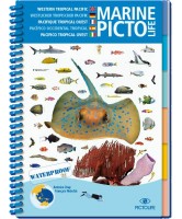 Marine pictolife : Pacifique Tropical Ouest