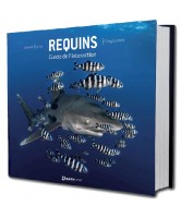 REQUINS, GUIDE DE L’INTERACTION