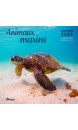CALENDRIER 2024 ANIMAUX MARINS