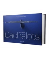 Cachalots