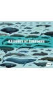 Baleines et dauphins : histoire naturelle et guide des espèces