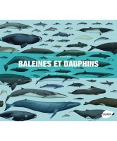 Baleines et dauphins : histoire naturelle et guide des espèces