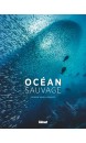 Océan sauvage