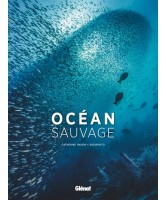 Océan sauvage