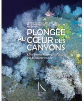 Plongée au cœur des canyons