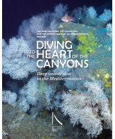 Diving into the heart of the canyons