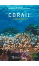 Corail : un trésor à préserver