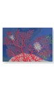 Magnet rectangulaire corail