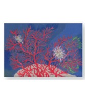 Magnet rectangulaire corail